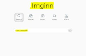 Everything you should need to know about Imginn