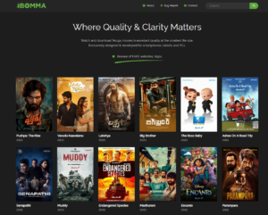i bomma.com telugu movies list in 2022 how to download movies ?